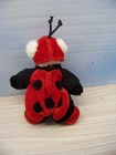 Ganz Wee Bear - Ladybug Outfit