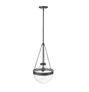 Clarra 60-Watt 1-Light Matte Black Pendant-Light Clear Shade - Picture 1 of 5
