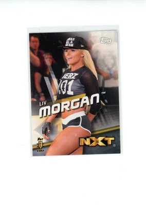 Tarjeta 2016 Topps WWE Divas Revolution Liv Morgan #41 primera NXT LEER Foto 1 de 4