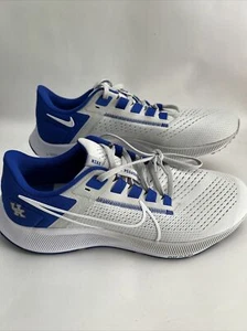 Mens Size 11.5 Nike Air Zoom Pegasus 38 Kentucky Wildcats Shoes DJ0830-001 - Picture 1 of 7
