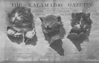 SW Kalamazoo MI 1906 HERE KITTY KITTY a Kalamazoo Gazette un peu d'HISTOIRE
