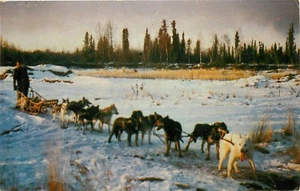 Postal de avanzada del equipo de trineos para perros de Alaska AK PM 1955 - Imagen 1 de 2
