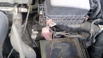 Cristal puerta trasera derecha pasajero compatible con 08-15 SCION XB 277824 Foto 1 de 4