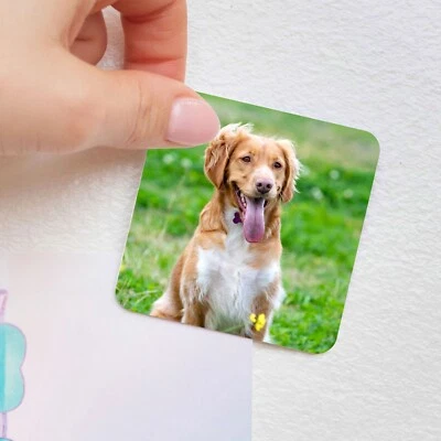 DRIFTING DUCKS Personalised Metal Fridge Magnet, Pet Dog Cat Photo Christmas Pet Owner Gift