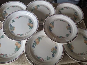 CORELLE ABUNDANCE 8.5" LUNCH PLATES SET OF 8 GENTLY USED FREE USA SHIPPING - Picture 1 of 6