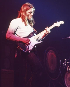 English Rock Guitarist DAVID GILMOUR Glossy 8x10 Photo Print Pink Floyd Poster - Picture 1 of 1