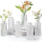  Lot de 6 vases à bourgeons en verre, petits vases à bourgeons diamant en vrac, mini 6 pièces transparents