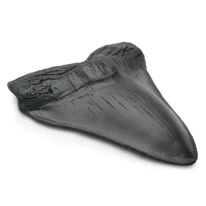 Diente de tiburón gigante Carcharodon Megalodon con dentaduras, adecuado para... - Imagen 1 de 6