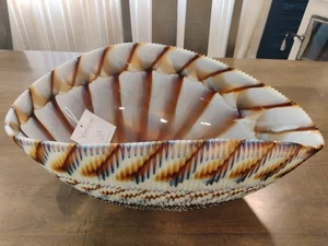 Yalos Murano Studio Glas gefaltete Schale Muschel Herzstück irisierend 16"x9" - Bild 1 von 8