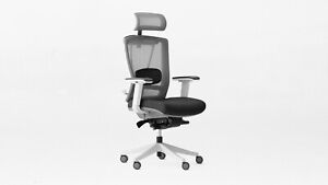 New ListingBrand New Black & White Autonomous ErgoChair Pro Ergonomic Chair Adjustable