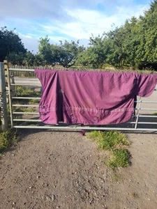 Fieldmasta purple 350g Heavyweight Half Neck Turnout Rug 6ft 3 - Picture 1 of 4