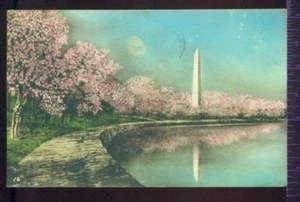 Cherry Trees Washington Monument Potomac Park Postcard - Picture 1 of 1