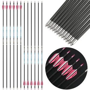 PANDARUS 12X Pure Carbon Arrows SP200-1500 ID4.2 Archery Bow Hunting Target - Picture 1 of 12