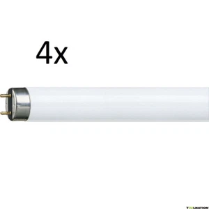 4x Paulmann T8 G13 Leuchtstoff-Röhre 30W 2160lm 6500K 90cm EEK:G (Spektrum A-G) - Bild 1 von 2
