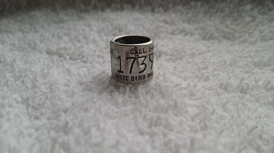 кряква утка группы утка/gooseband 1739 серии звонок 800 таксидермия - Изображение 1 из 1