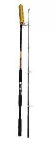 Ugly Stik Bigwater 10' Spinnrute Medium Heavy 2-teilig Surf Beach, SHARK ROD - Bild 1 von 2
