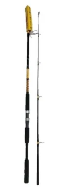 Ugly Stik Bigwater 10' 🔥Spin Rod Medium Heavy 2-Piece Surf Beach, SHARK ROD❗️🔥 - Image 1 of 2