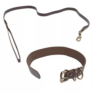 Set collare e guinzaglio in pelle per cani - pelle premium per cani eleganti - Foto 1 di 9