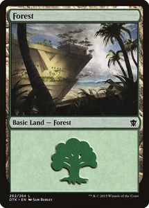 Magic the Gathering MTG Forest Dragons of Tarkir DTK 262/264 Basic Land NM/M - Picture 1 of 1