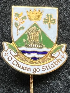 DUN LAOGHAIRE RATHDOWN IRELAND GOLD TONE ENAMEL COAT OF ARMS BADGE STICKER PIN - Picture 1 of 4