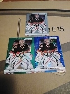 #70 Craig Anderson - Base / Green / Blue Pulsar - 2013/14 Panini Prizm
