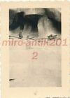 Foto, WK2, Ostfront, Kiew, Affen im Kiewer Zoo, 1941, 5026-604