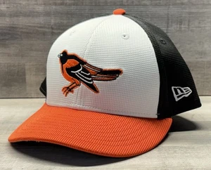 Baltimore Orioles New Era 2024 Batting Practice Low Profile 9fifty Fitted 7 1/2 - Picture 1 of 6