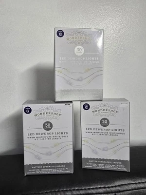 3 - Wondershop Dewdrop String luzes LED 30ct fio prata branco 10'9" Natal - Imagem 1 de 4