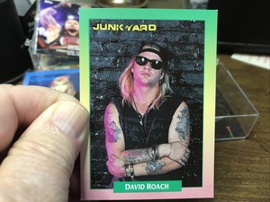 1991 Rock Cards #88 David Roach