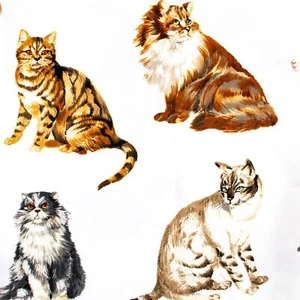 Cats Persian Cotton Quilting Fabric 20x44 Timeless Treasures C4850 Longhair - Picture 1 of 3