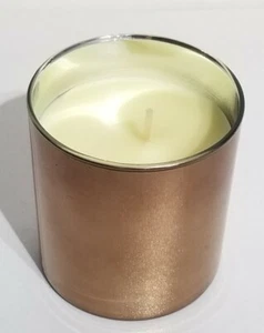 Rara candela da frutta invernale Calvin Klein 7,5 oz in pensione - Foto 1 di 7