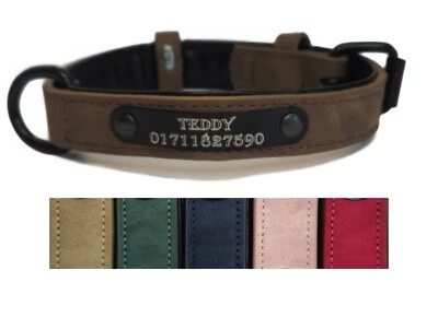 Hundehalsband Halsband Name Gravur personalisiert Haustier Hund Katze - Bild 1 von 4