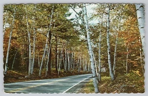 Shelburne Birken New Hampshire Postkarte - Bild 1 von 2