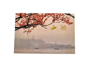 1978 VINTAGE LOT OF 12 CHINESE POSTCARDS - Picture 1 of 4