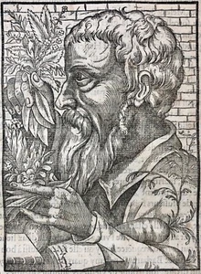 "DIOSCORIDE" Ancient Greek physician/pharmacologist. ANDRÉ THEVET, Woodcut, 1575 - Foto 1 di 2