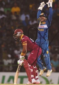 SRI LANKA: KUSAL PERERA SIGNED 6x4 ODI ACTION PHOTO+COA - Picture 1 of 1