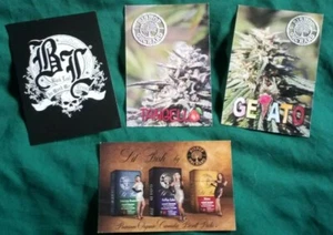4 Cartoline Cannabis Inutilizzate Da Collezione Pubblicità Promo Souvenir Marijuana - Foto 1 di 7