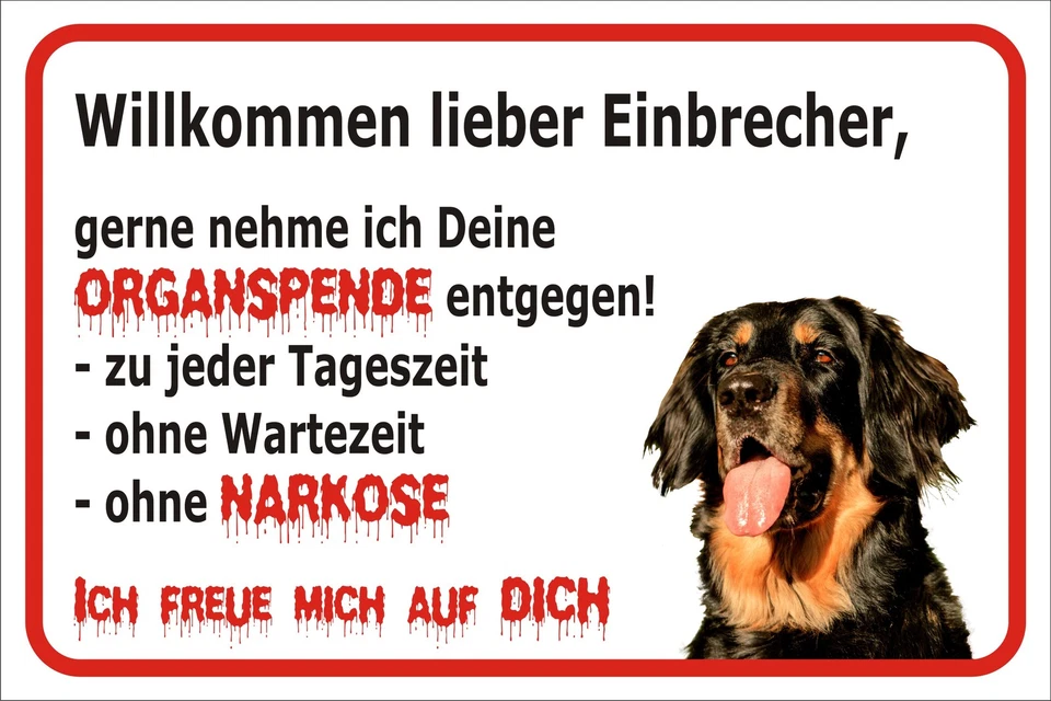 ADRILEO® Schild S0371 Vorsicht Hovawart "Einbrecher" Gr. 15x20 bis 60x40cm Hund Türschild