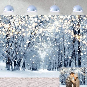 Telón de fondo de escena de invierno para fotografía fondo blanco brillante bosque de nieve - Imagen 1 de 9