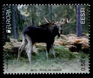 Elch. Wald. 1W. Estland 2011 - Bild 1 von 1