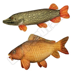 Peluche CARPA - PIKE Juguete De Peluche Peluche De Lucio Peluche De Carpa 60cm - Imagen 1 de 17
