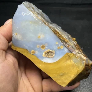 1lb 10oz Polka Dot Agate. Madras Oregon Lapidary Rough For Cabbing #08 - Picture 1 of 9