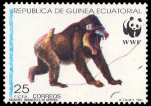ÄQUATORIALGUINEA 162 - Mandrill "Mandrillus sphinx" WWF (pb62506) - Bild 1 von 1