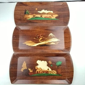 Vintage Hasko Wood Veneer Haskelite Lithograph Tray Lot of 3 Seasons MCM Decor - Picture 1 of 14