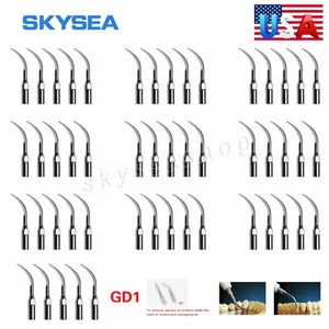 5-100 pezzi USA punta scaler ad ultrasuoni dentale GD1 compatibile con DTE SATELEC - Foto 1 di 9