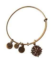 ALEX AND ANI 2017 Bronze Compass Charm Bangle Bracelet - Picture 1 of 4