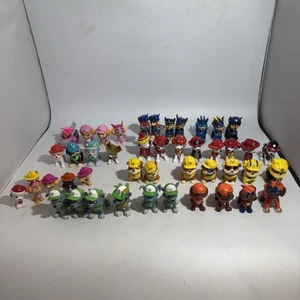 Paw Patrol Figuren Konvolut 46 Stück Hunde Rubble Skye Chase Marshall Rocky Zuma - Bild 1 von 12