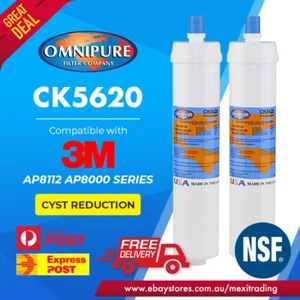 2X Omnipure CK5620 1 Micron Cyst Replaces Aqua-pure AP-8112 AP8112 - Picture 1 of 2