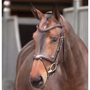 Shires Velociti Lusso Elite Flash Bridle Havana - Picture 1 of 1