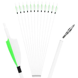 30" Carbon Arrows SP500 Turkey Feather Screw Points Recurve Compound Bow Hunting - Picture 1 of 20